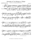 Serenade in C for Strings pt 3 Elegie for Violin & Cello