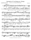 Serenade in C for Strings pt 4 Finale for Violin & Cello