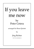 If You Leave Me Now