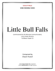 Little Bull Falls