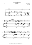 Zigeunerweisen Op.20