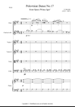 Polovtsian Dance No.17