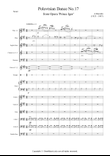 Polovtsian Dance No.17