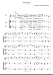 Irish Flute Medley