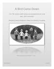 A Bird Came Down
