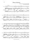 Wiener Schnitzel for cello and piano