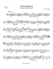 PETIT ESSAI #3 for Unaccompanied Bassoon