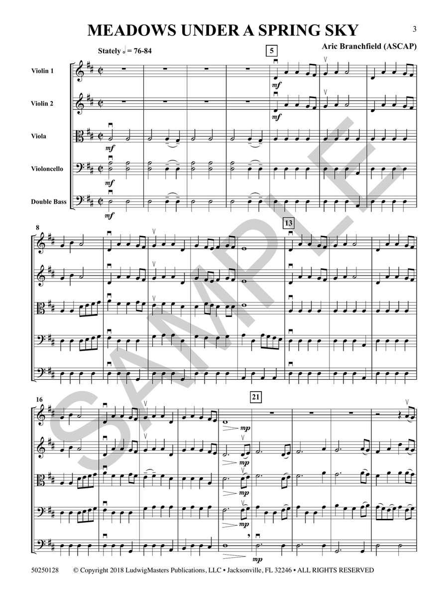 Meadows Under a Spring Sky String Orchestra - Sheet Music page 4