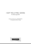 I Got You (i Feel Good)