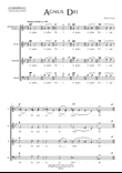 Agnus Dei - Chris Lawry (for SSAATB Choir)