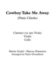 Cowboy Take Me Away