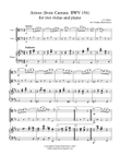 J.S.Bach Arioso for two violas and piano (from Cantata BWV 156)