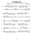 Petite Romance for Life - Alto Recorder and Violin