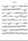 Labyrinth (Meditation for Flute)