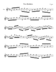 Two Brothers (Flute Ballad)