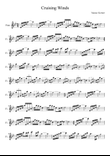 Cruising Wind (Partita for Flute)