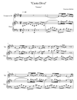 Vincenzo Bellini - Casta Diva - Norma (Trumpet Solo)