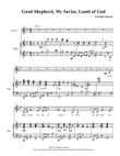 Good Shepherd, My Savior, Lamb of God, vocal solo, medium voice