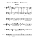 Sinfonía No.1(Primer Movimiento)-Beautiful things Op.2 No.2