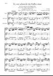 J S Bach Aria from the Coffee Cantata arranged for Flute Trio: Flute, Alto Flute or Flute II and Bas