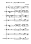 Sinfonía No.2(Primer Movimiento)-Beautiful things Op.2 No.11