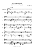 Peaceful Serenity - Trumpet and Guitar