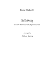 Schubert's Erlkönig (Arranged for Solo Baritone and Multiple Percussion)