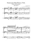 Sonata para Oboe,Flauta y Viola(Primer Movimiento)-Beautiful things Op.2 No.15