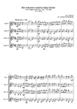 Mozart Magic Flute - Bei Männern welche Liebe fühlen, KV 620 for violin quartet (4 violins) full s