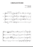 Crisantemi for String Quartet