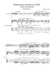 Sonata para Guitarra y Cello(Primer Movimiento)-Beautiful things Op.2 No.17