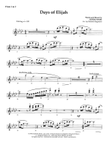 Days of Elijah (arr. Richard Kingsmore) - Flute 1 & 2
