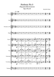 Sinfonía No.3(Segundo Movimiento)-Beautiful things Op.2 No.19