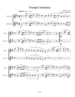 Trumpet Voluntary (Violin Duet)