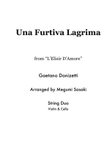 Una Furtiva Lagrima