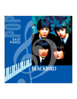 Blackbird