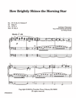 How Brightly Shines the Morning Star mini preview
