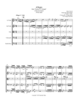 Allegro (from 