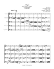 Allegro (from 