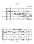 Allegro (from 