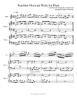 Sunshine Musicale Waltz for Flute
