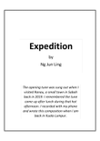 Expedition
