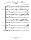 Sextet for Clarinet, Horn and Bassoon - Opus 71 mini preview