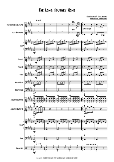 The Long Journey Home (Tin Whistle & Strings)
