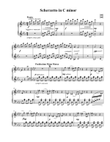 Scherzetto in C minor, Op. 2