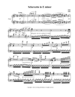 Scherzetto No. 3 in E minor, Op. 7