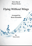 Flying Without Wings