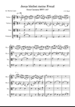 Jesus bleibet meine Freud - J. S. Bach - String Quartet
