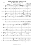 Missa Ad Placitum - Agnus Dei II for Woodwind Septet