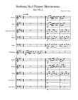 Sinfonía No.5(Primer Movimiento)-Beautiful things Op.5 No.2